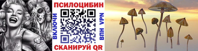 Псилоцибиновые грибы Cubensis  блэк спрут ссылки  Таруса  даркнет сайт 