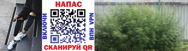 Конопля Ganja Таруса